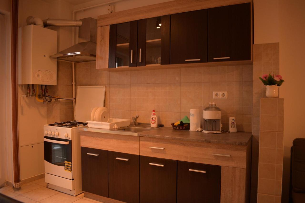 Apartament Alexandru Apartment Сибиу Екстериор снимка